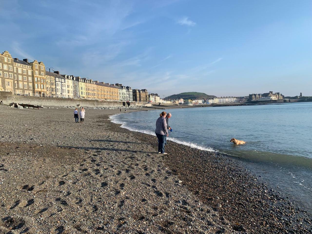 Cardigan Bay Self Catering Accommodation アベリストウィス エクステリア 写真