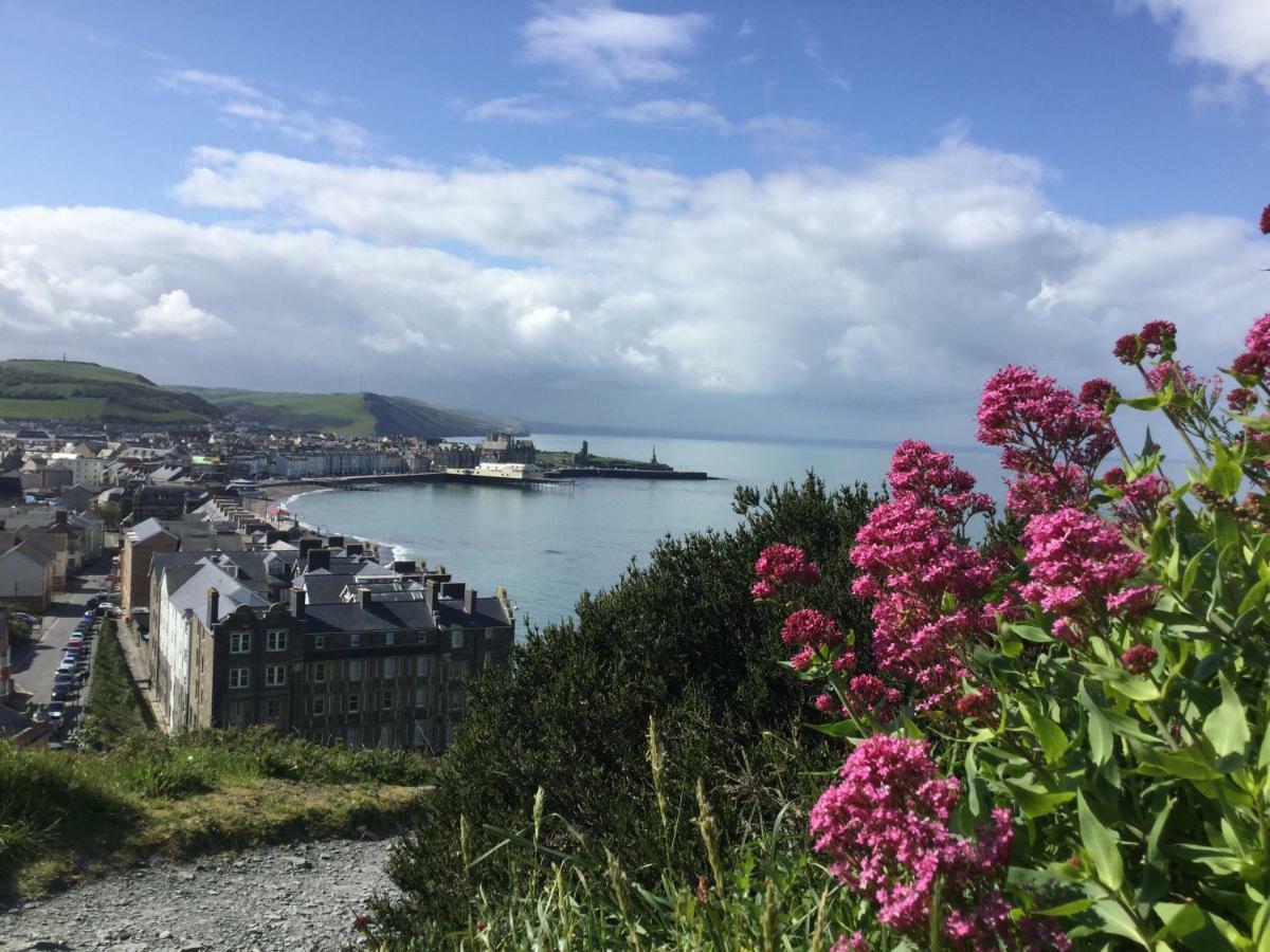 Cardigan Bay Self Catering Accommodation アベリストウィス エクステリア 写真